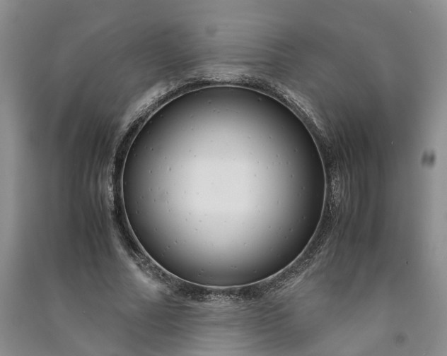 X0000090960682200708161816