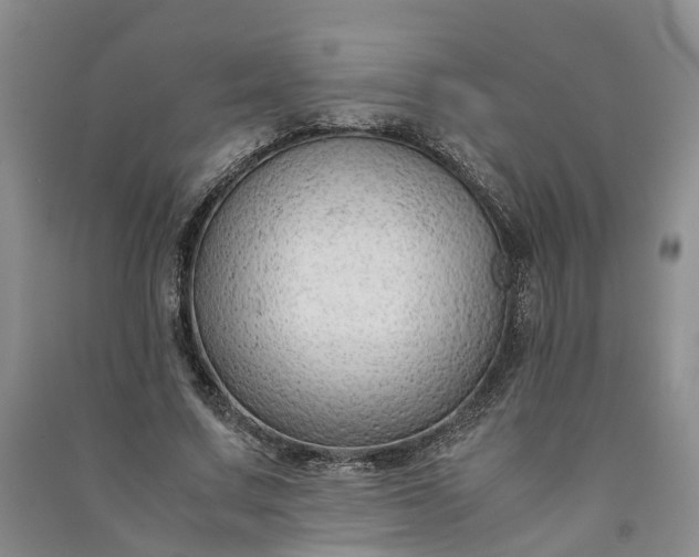 X0000090960683200708161816