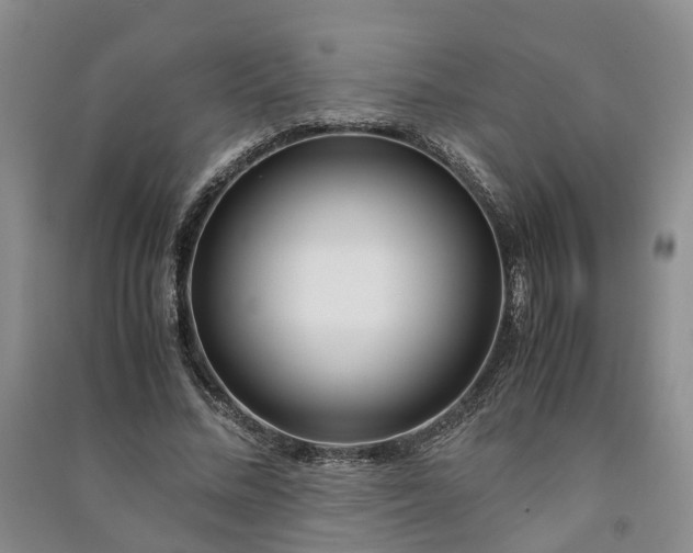 X0000090960684200708161816