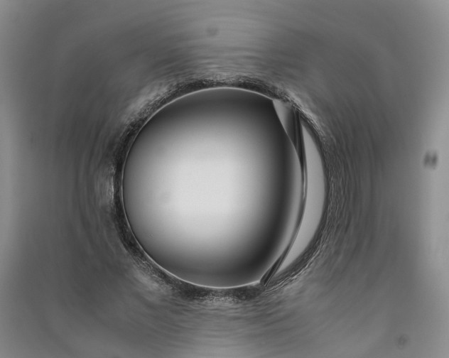 X0000090960685200708161816