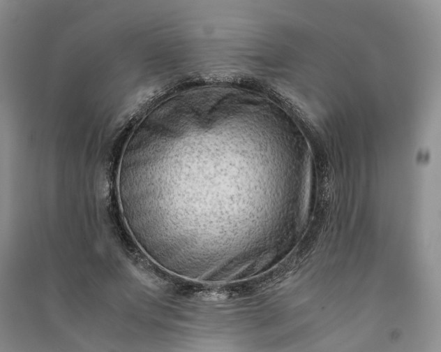 X0000090960687200708161816