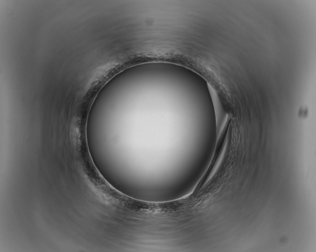 X0000090960688200708161816