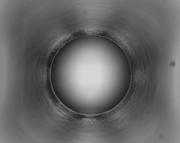 X0000090960690200708161816