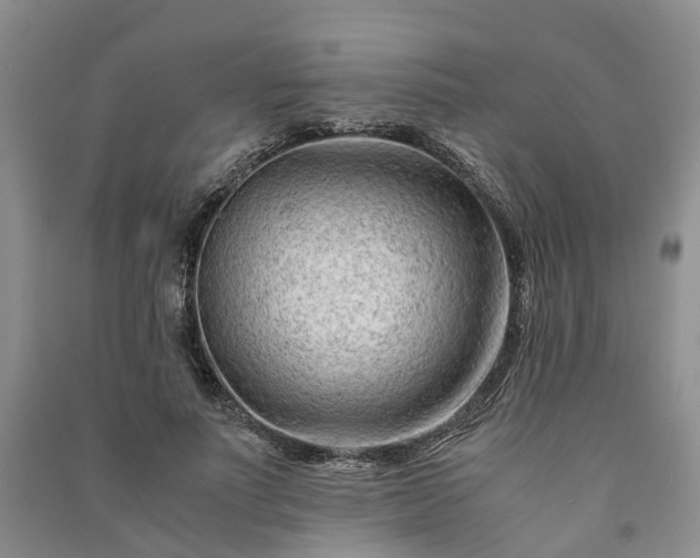 X0000090960691200708161816