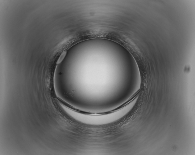 X0000090960693200708161816