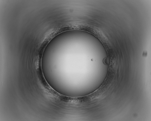 X0000090960694200708161816
