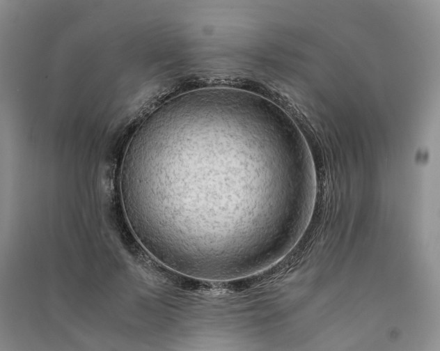 X0000090960695200708161816