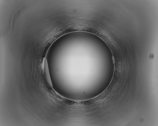X0000090960696200708161816