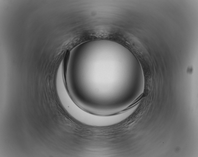 X0000090960697200708161816