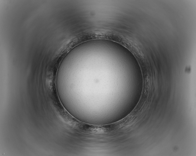 X0000090960698200708161816