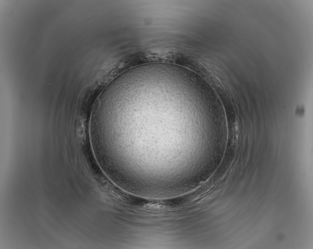X0000090960699200708161816