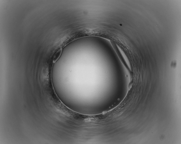X0000090960700200708161816