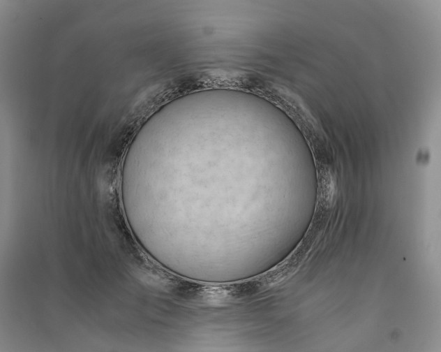 X0000090960701200708161816