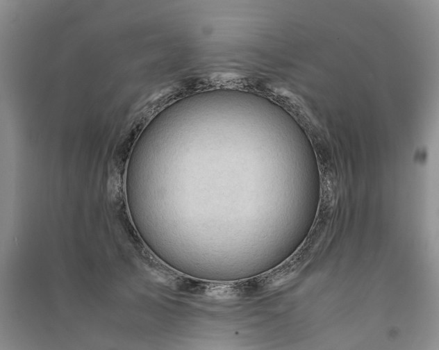 X0000090960705200708161816