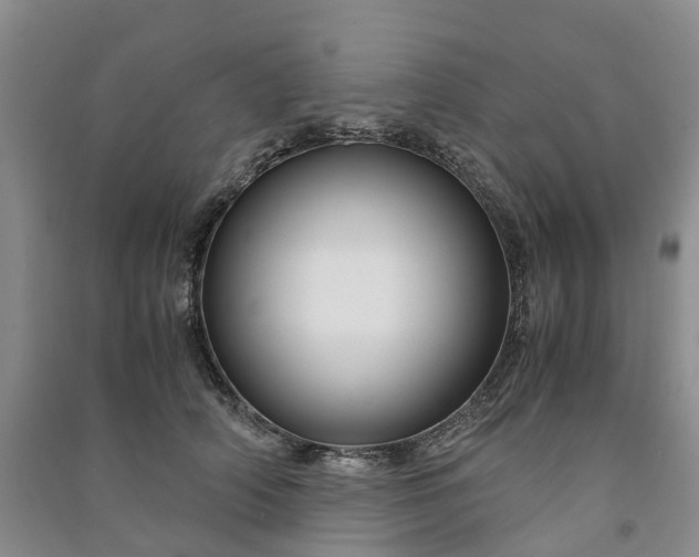 X0000090960706200708161816