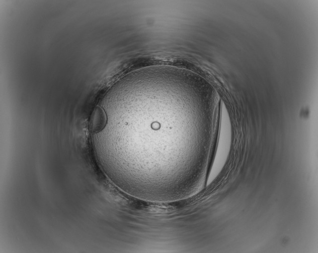 X0000090960707200708161816