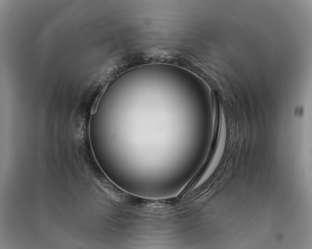 X0000090960708200708161816