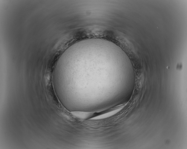 X0000090960709200708161816