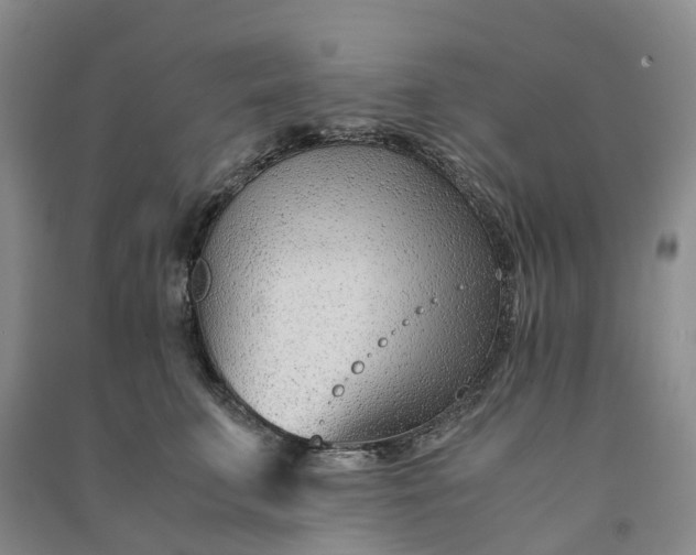 X0000090960711200708161816