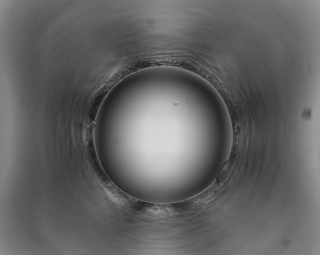 X0000090960712200708161816