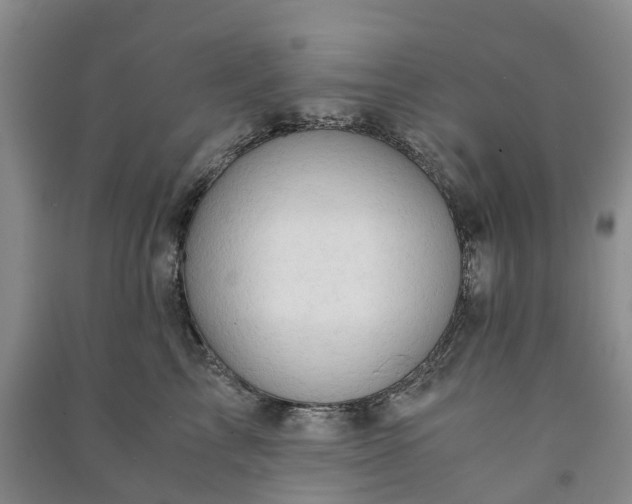 X0000090960713200708161816