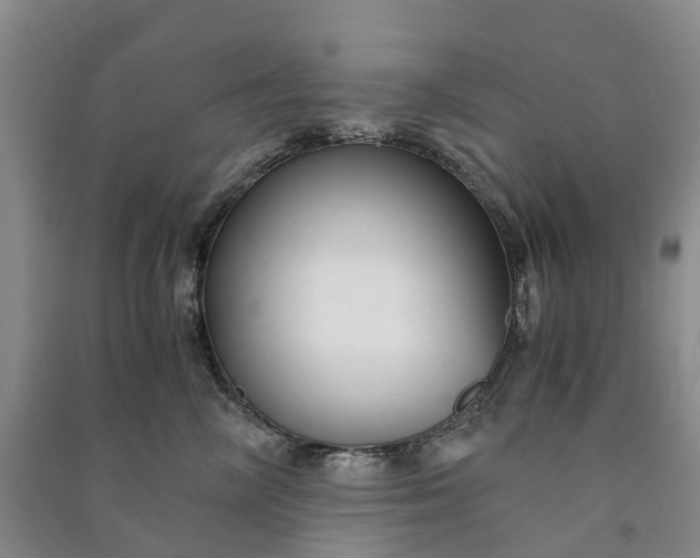 X0000090960714200708161816