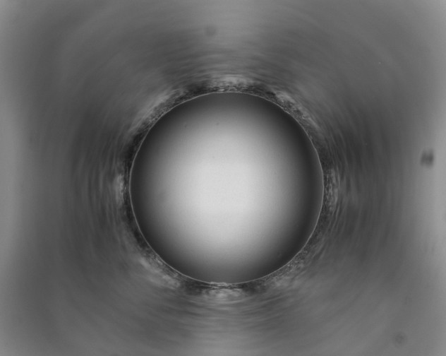 X0000090960716200708161816