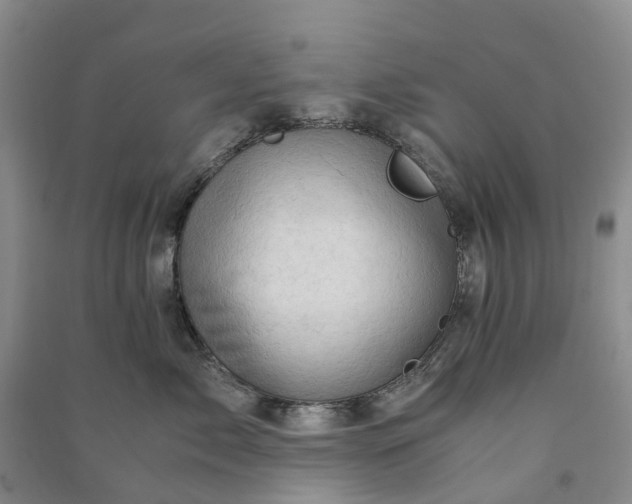 X0000090960717200708161816