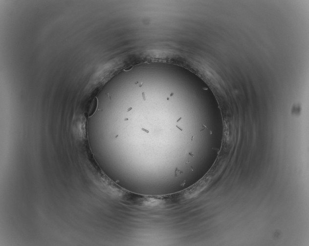 X0000090960718200708161815