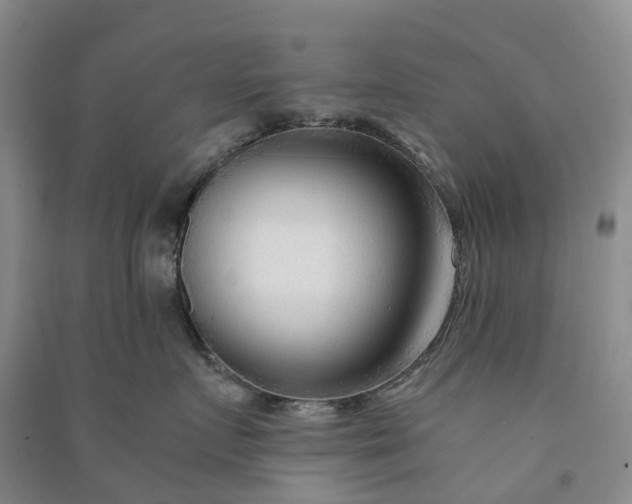 X0000090960719200708161815