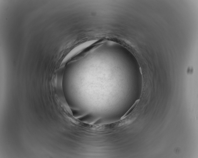 X0000090960720200708161815