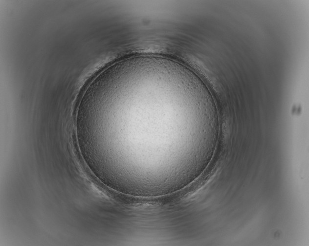 X0000090960721200708161815