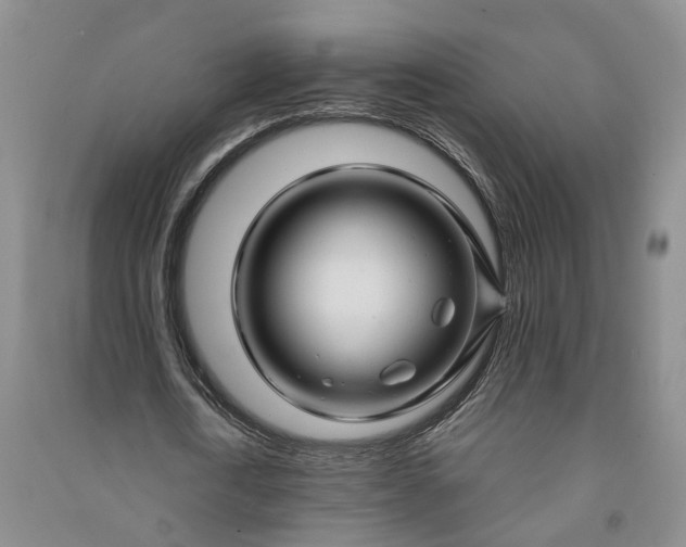 X0000090960722200708161815