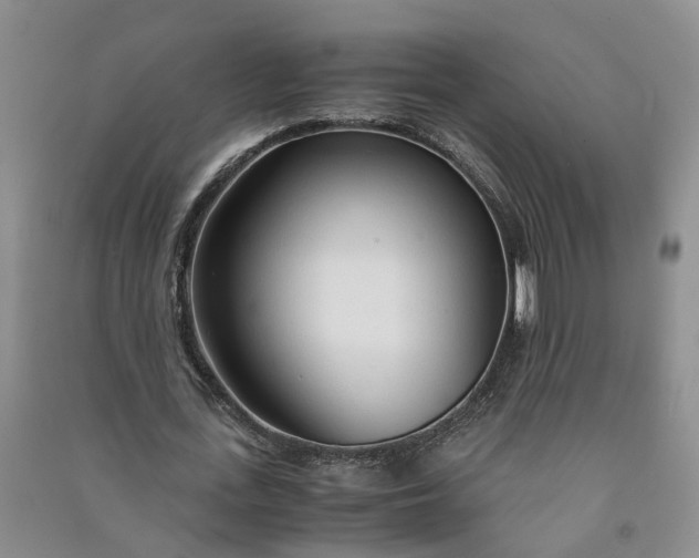X0000090960723200708161815
