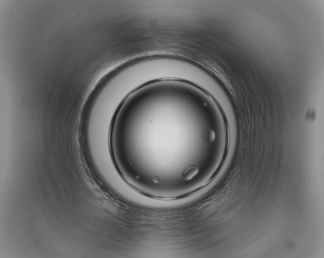 X0000090960724200708161815