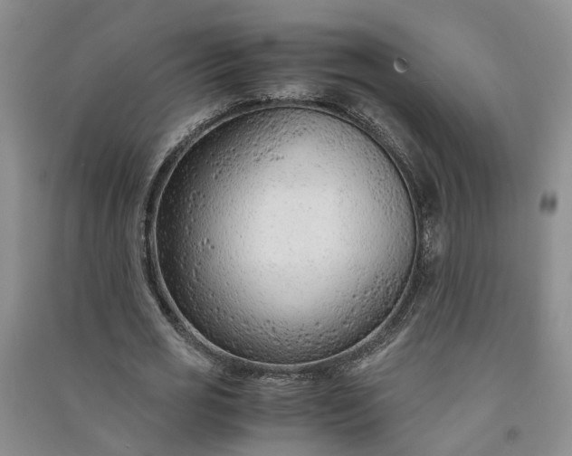 X0000090960725200708161815