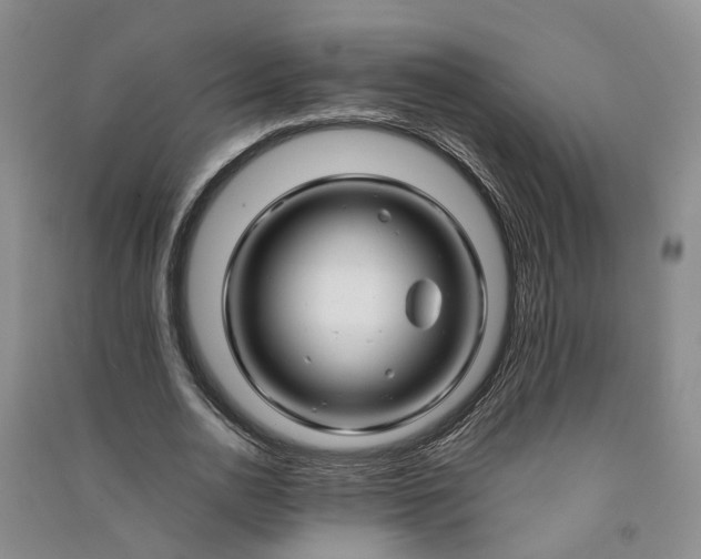X0000090960726200708161815