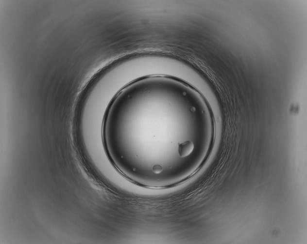 X0000090960728200708161815