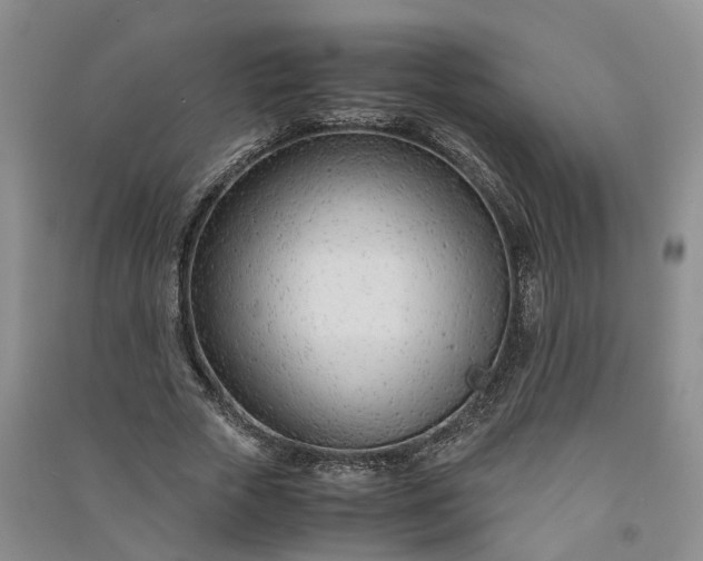 X0000090960729200708161815