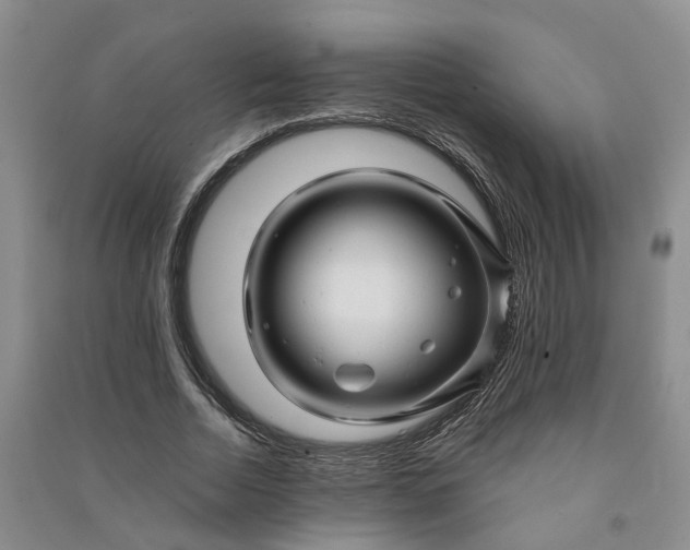 X0000090960730200708161815