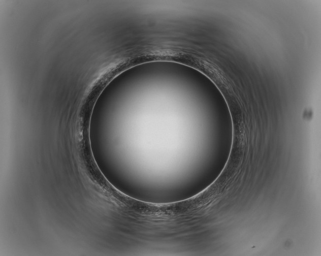 X0000090960731200708161815