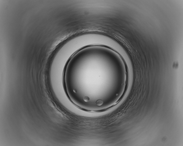 X0000090960732200708161815