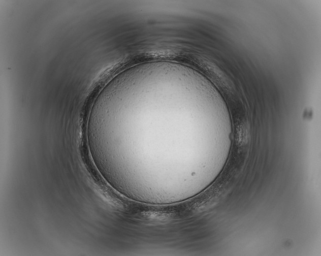 X0000090960733200708161815