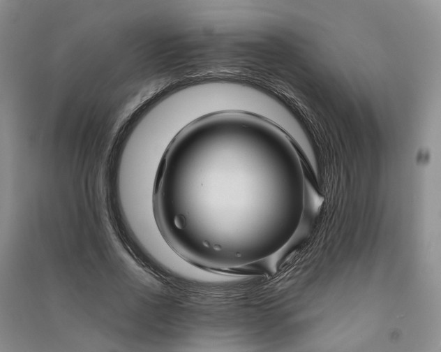 X0000090960734200708161815