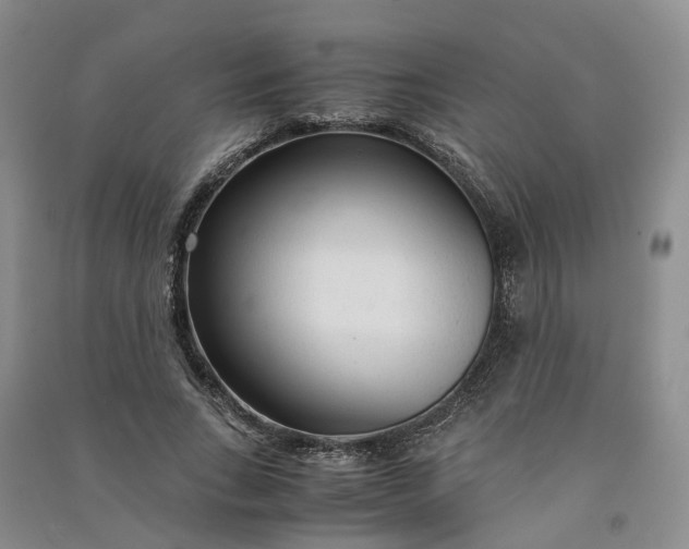 X0000090960735200708161815