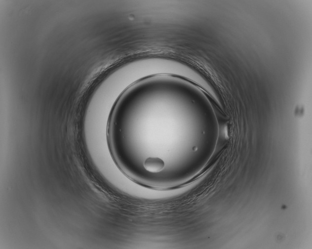 X0000090960736200708161815