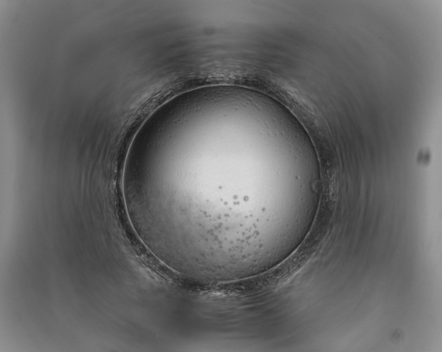 X0000090960737200708161815