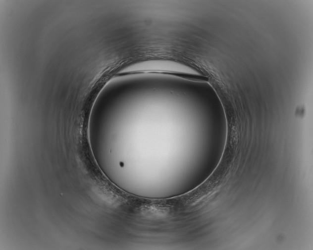 X0000090960739200708161815