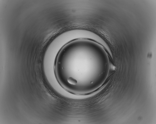 X0000090960740200708161815