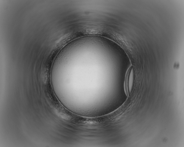 X0000090960741200708161815